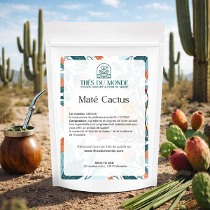 Maté cactus